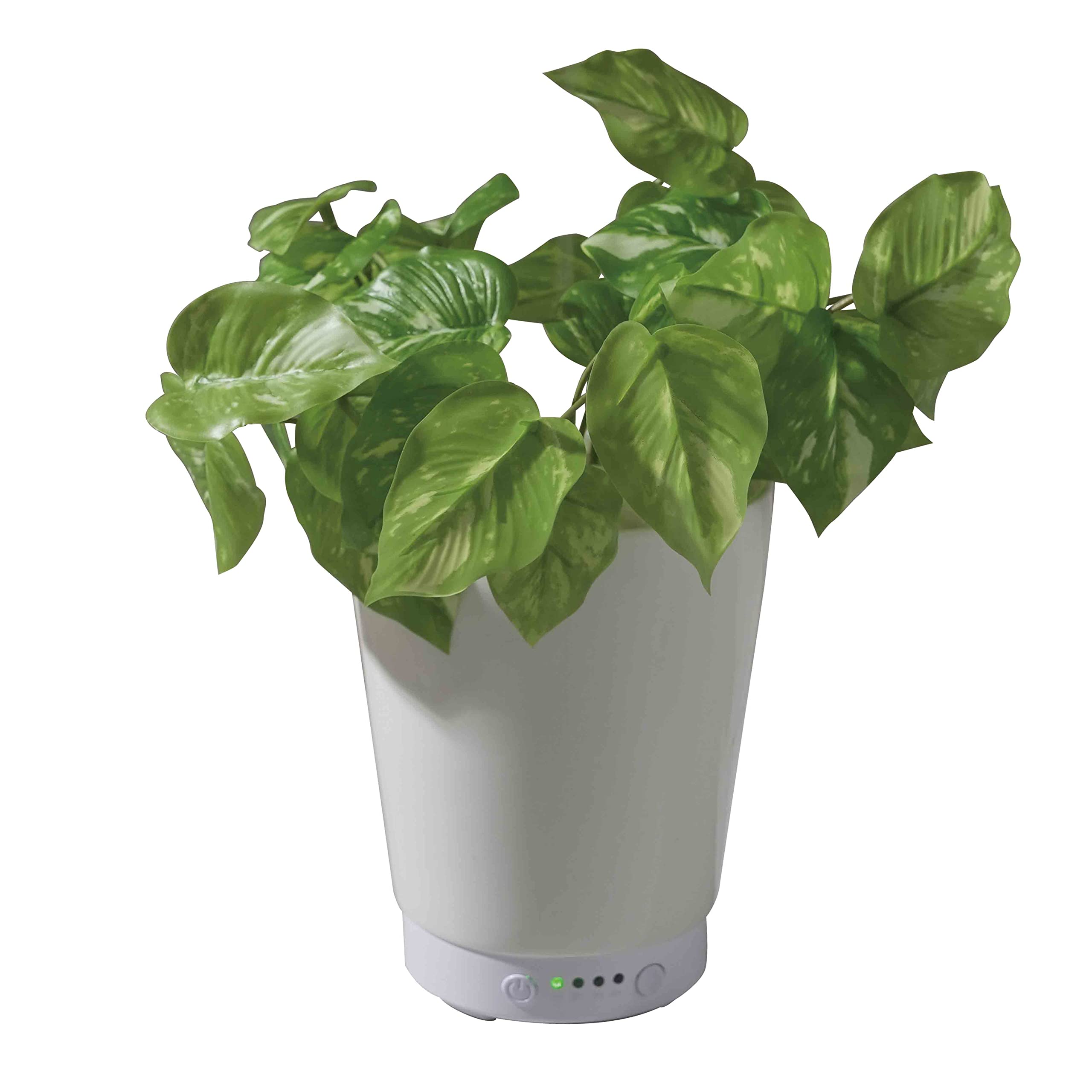 Green Aroma Mist Pothos Ultrasonic Humidifier GREEN AROMA MIST POTHOS Artificial Plant Diffuser Aroma Mist Aroma Diffuser Humidifier LITHON KSHU-01WP
Green Aroma Mist Pothos Ultrasonic Humidifier GREEN AROMA MIST POTHOS Artificial Plant Diffuser Aroma Mist Aroma Diffuser Humidifier LITHON KSHU-01WP