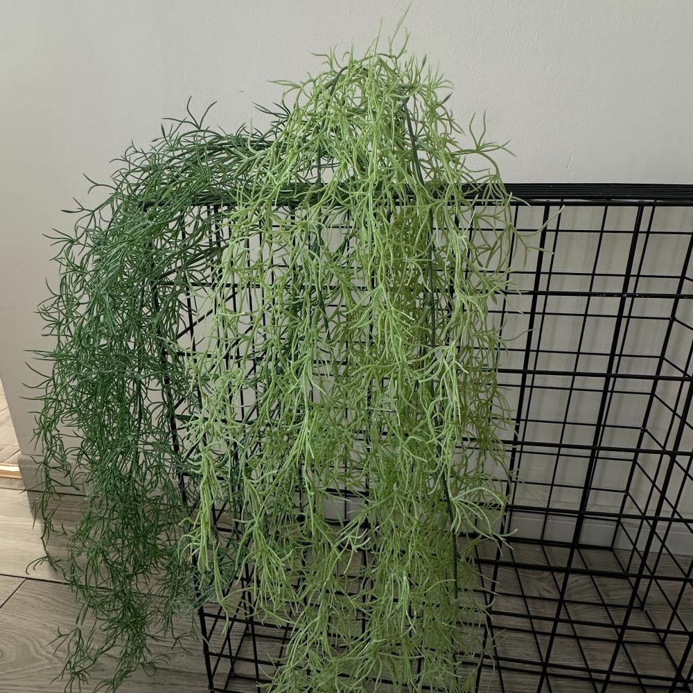 100cm Artificial Ivy Plastic Plastic Fake Greenery Plastic Wedding Decor світло-зелений колір
100cm Artificial Ivy Plastic Plastic Fake Greenery Plastic Wedding Decor світло-зелений колір