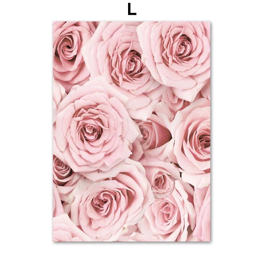 Розовая роза орхидея сакура корона цветок холст картина скандинавские постеры и принты настенные художественные картины для гостиной домашний декор 8X12inch 20x30cm
Розовая роза орхидея сакура корона цветок холст картина скандинавские постеры и принты настенные художественные картины для гостиной домашний декор 8X12inch 20x30cm