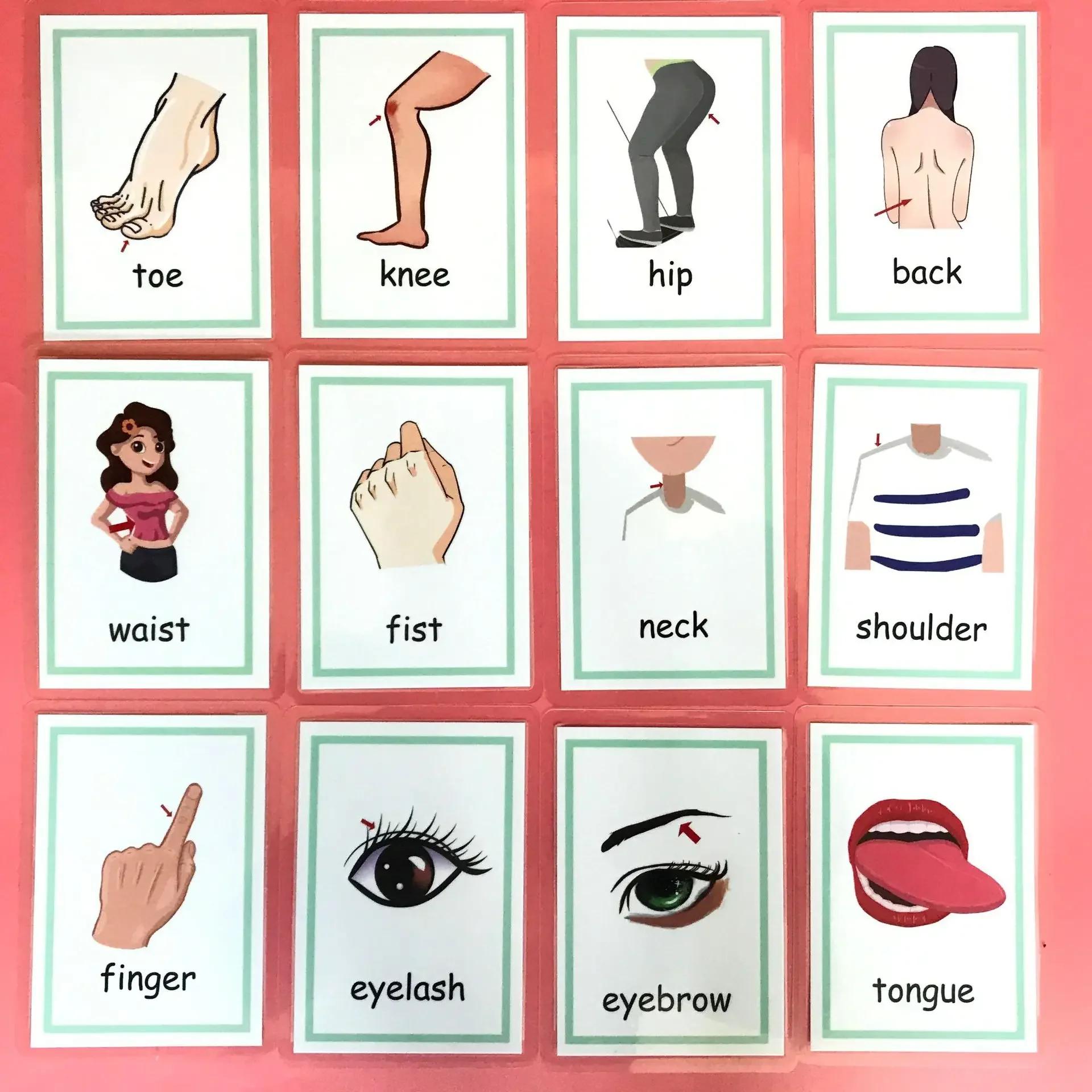 12 шт. детские игрушки Монтессори изучение английского языка карточки со словами цветные флеш-карты дети цвет познание память образовательная игрушка
12 шт. детские игрушки Монтессори изучение английского языка карточки со словами цветные флеш-карты дети цвет познание память образовательная игрушка