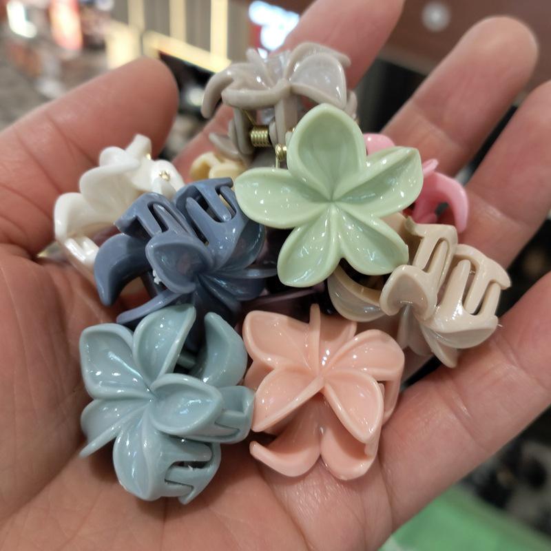 4.5CM Jelly Color Semi-Transparent Small Claw Clip for Half-Up Hairstyles - Sweet Cross Bangs Hair Accessory
4.5CM Jelly Color Semi-Transparent Small Claw Clip for Half-Up Hairstyles - Sweet Cross Bangs Hair Accessory