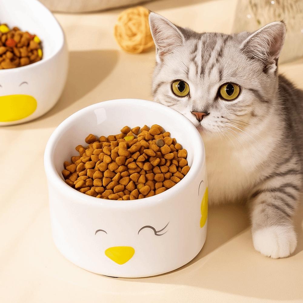 Anti Black Chin Dog Food Bowl Slanted Mouth Creative Cat Bowl Anti-Tipping Bowl Pet Feeding Style B
Anti Black Chin Dog Food Bowl Slanted Mouth Creative Cat Bowl Anti-Tipping Bowl Pet Feeding Style B