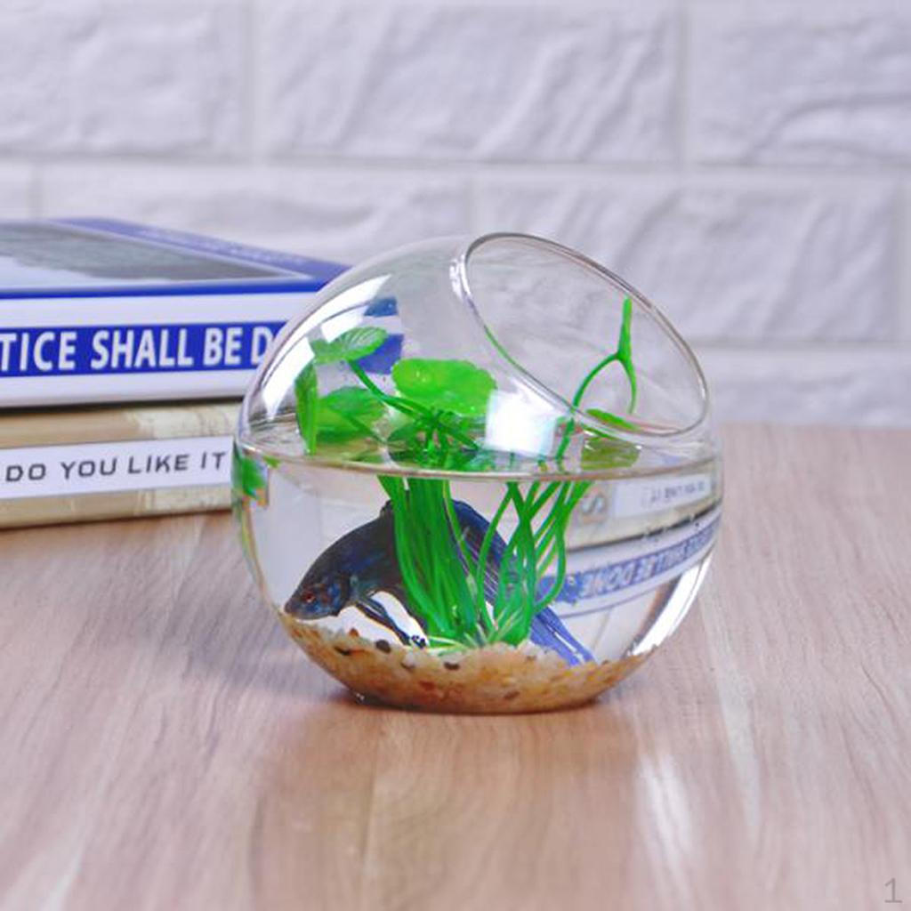 Globe Plant Pot Vase Holder Terrarium Container Decor
Globe Plant Pot Vase Holder Terrarium Container Decor
