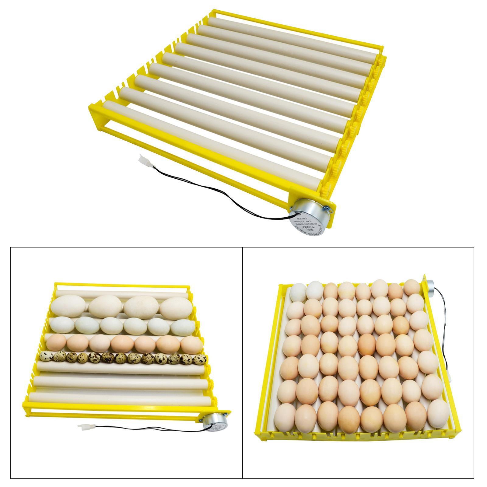 Automatic Egg Incubator Tray Plastic Hatcher Accessories Equipment for Bird Eggs Quail Chicken Duck Turning Machine
Automatic Egg Incubator Tray Plastic Hatcher Accessories Equipment for Bird Eggs Quail Chicken Duck Turning Machine