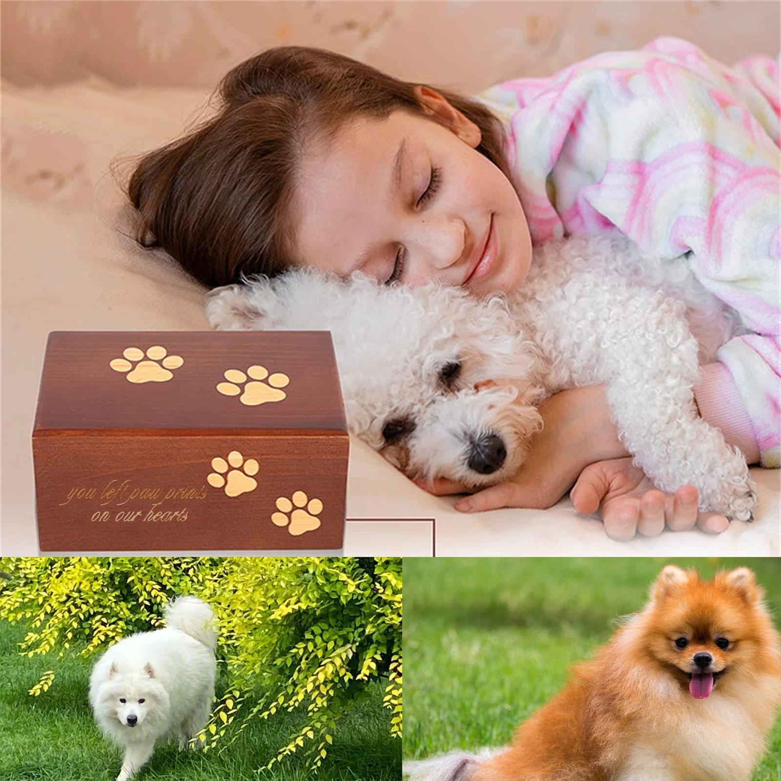 Pet Urns with Paws Prints Funeral Cremation Small Box Wood Urn Loving Memory Pet Urn Paws Prints Gift Caskets
Pet Urns with Paws Prints Funeral Cremation Small Box Wood Urn Loving Memory Pet Urn Paws Prints Gift Caskets