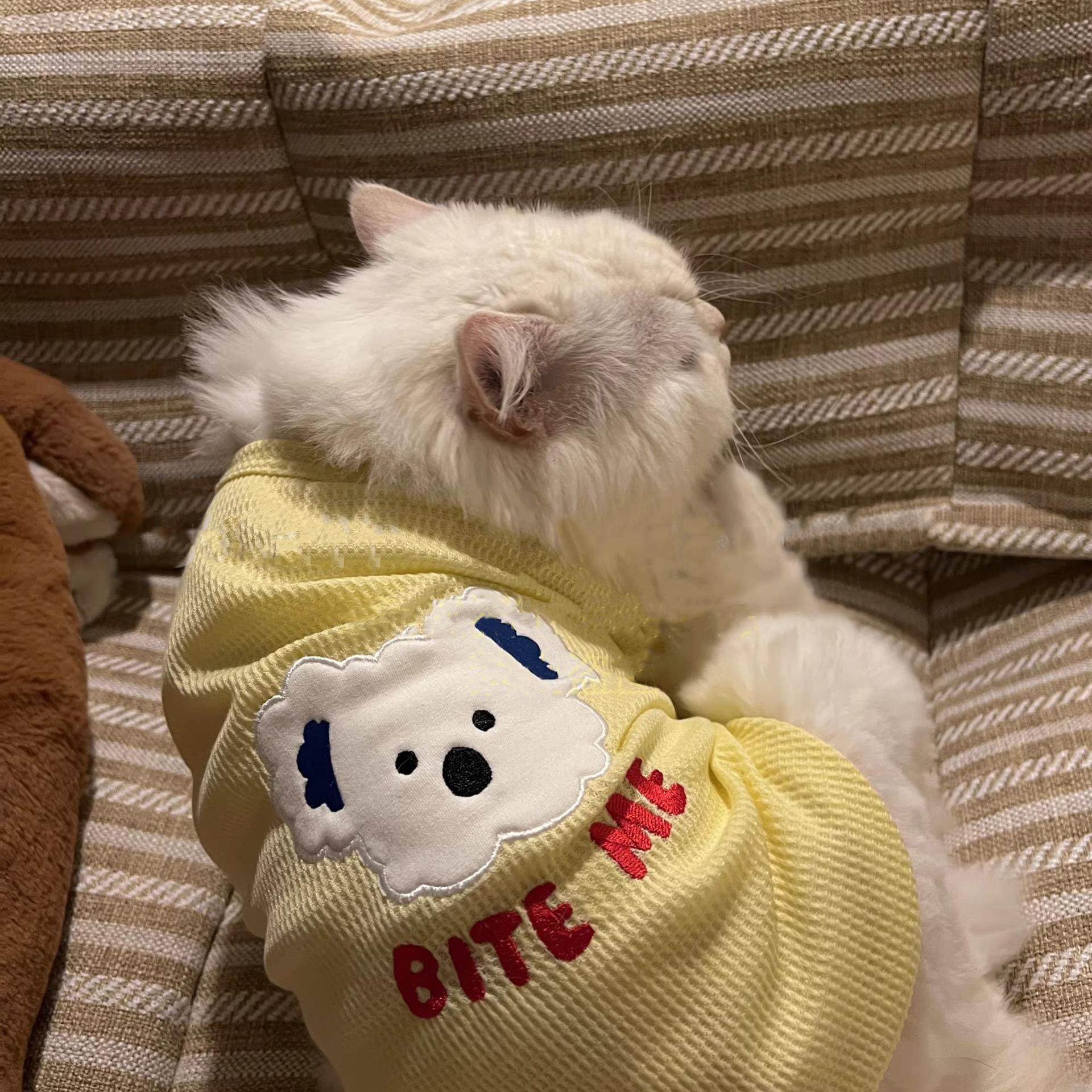 Одежда для домашних кошек Летний тонкий дышащий наряд Рэгдолл Котенок Серебристый Градиентный Синий Кошка Котенок Домашнее животное Одежда на двух лапах S Code:Recommended3-5Ji жёлтый
Одежда для домашних кошек Летний тонкий дышащий наряд Рэгдолл Котенок Серебристый Градиентный Синий Кошка Котенок Домашнее животное Одежда на двух лапах S Code:Recommended3-5Ji жёлтый
