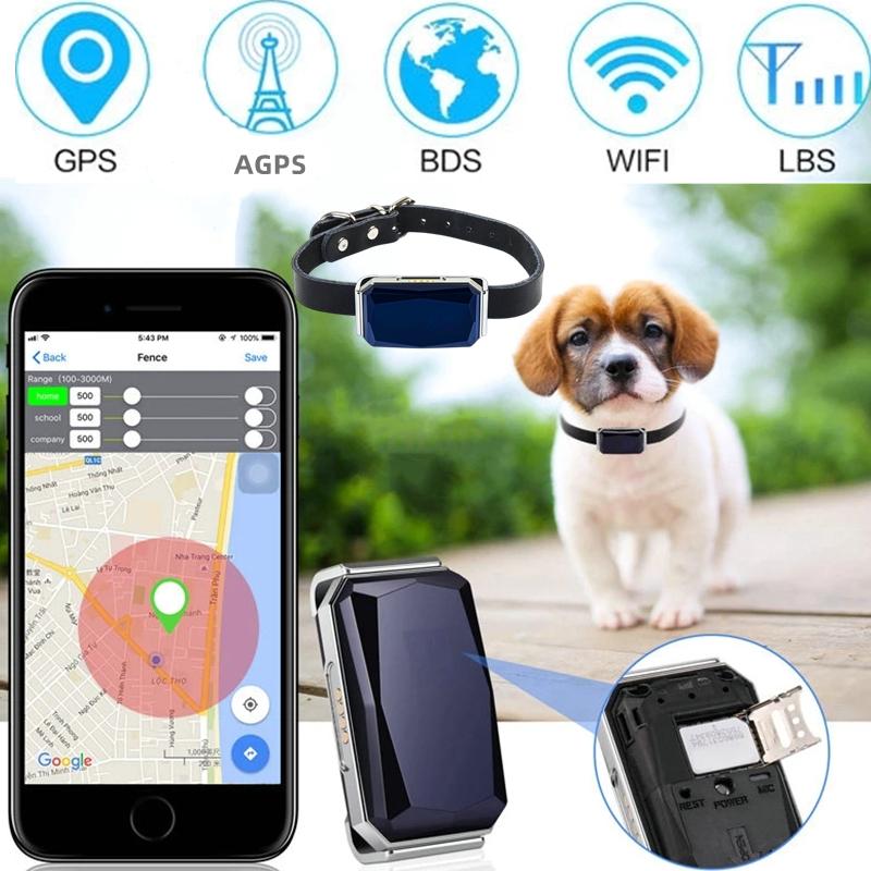 Pet Colr GPS Traer Водонепроницаемый анти-потерянный ошейник для собак для собак и кошек На открытом воздухе Длинная подставка Footprt Trag Locator Предметы
Pet Colr GPS Traer Водонепроницаемый анти-потерянный ошейник для собак для собак и кошек На открытом воздухе Длинная подставка Footprt Trag Locator Предметы