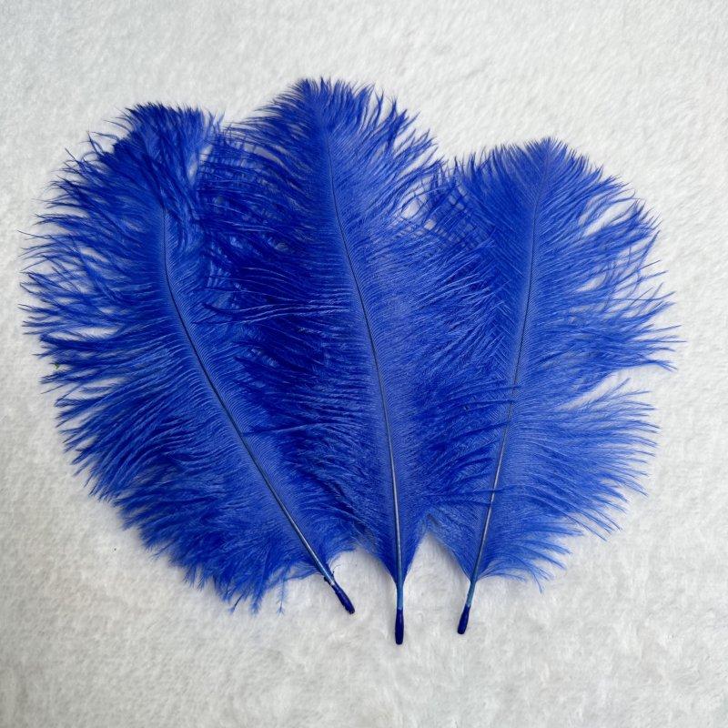 100pcs/lot 6-14 Inch 15-40cm Rose Ostrich Feathers For Wedding Decor Craft 15-20CM королевский синий
100pcs/lot 6-14 Inch 15-40cm Rose Ostrich Feathers For Wedding Decor Craft 15-20CM королевский синий