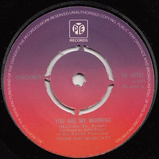 7inch Record PARCHMENT - You Are My Morning 7N45261 Pye Records 1973 UK Folk Used
7inch Record PARCHMENT - You Are My Morning 7N45261 Pye Records 1973 UK Folk Used