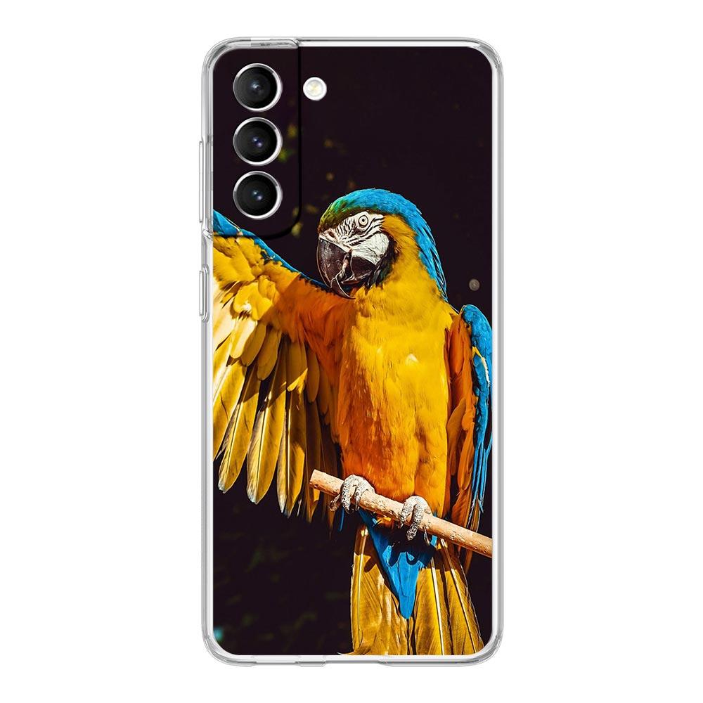 Phone Case For Samsung Galaxy S25 S24 S23 FE S22 Ultra S20 S21 5G S10 S9 Plus S10E S8 Soft Clear Cover parrot bird S22 Ultra 5G
Phone Case For Samsung Galaxy S25 S24 S23 FE S22 Ultra S20 S21 5G S10 S9 Plus S10E S8 Soft Clear Cover parrot bird S22 Ultra 5G