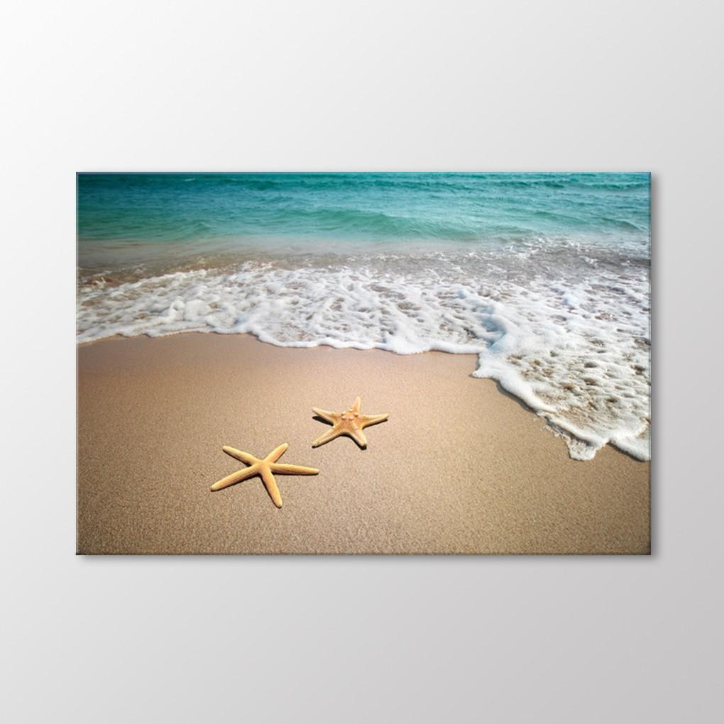 Картина Морских Звезд
Картина Морских Звезд