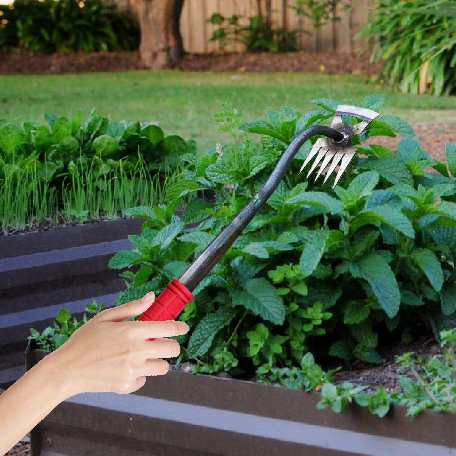 Инструмент для прополки сада, оборудование для удаления сорняков, ручная прополка, ручное удаление сорняков для ландшафтного дизайна 5 Tines
Инструмент для прополки сада, оборудование для удаления сорняков, ручная прополка, ручное удаление сорняков для ландшафтного дизайна 5 Tines
