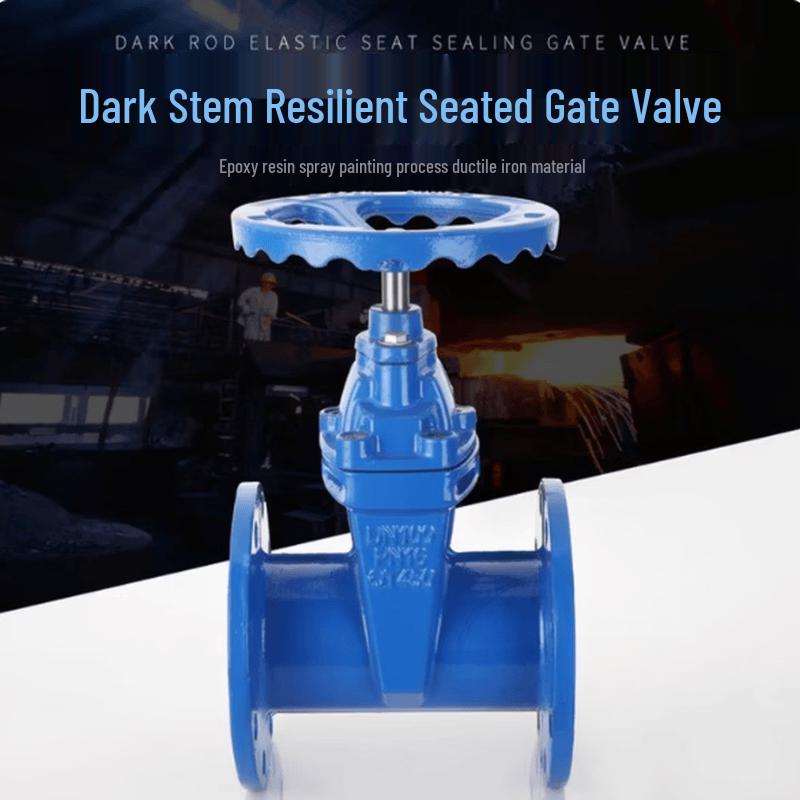 YMTI DN200 Resilient Seated Flange Gate Valve
YMTI DN200 Resilient Seated Flange Gate Valve