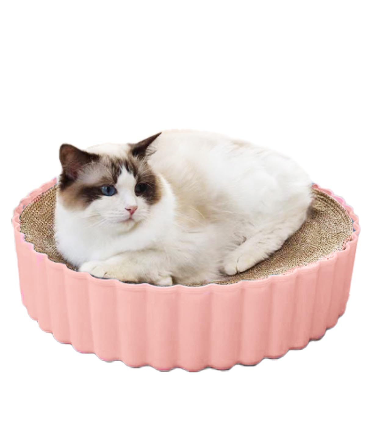 Кровать для заточки ногтей, картонная кровать для кошек, 31 см, принадлежности для животных, круг S.fields.inc (розовый)
Кровать для заточки ногтей, картонная кровать для кошек, 31 см, принадлежности для животных, круг S.fields.inc (розовый)