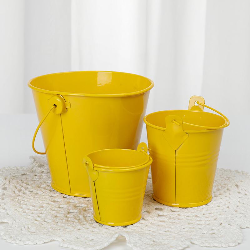 Pastoral Tinplate Iron Bucket: Succulent & Flower Pot for Home, Balcony, or Desktop Decor Small (5.5*5.5*4cm)
Pastoral Tinplate Iron Bucket: Succulent & Flower Pot for Home, Balcony, or Desktop Decor Small (5.5*5.5*4cm)