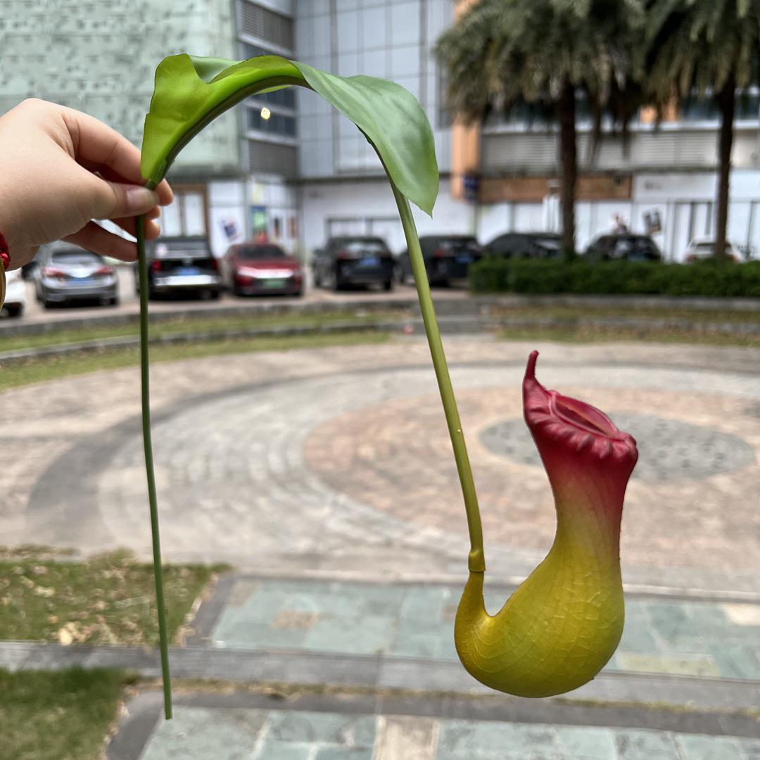 1Pc 29.9 Artificial Nepenthes Lifelike Faux Pitcher Plant Hanging Vine Green Plant for Vase Bouquets Home Office Wedding Decor
1Pc 29.9 Artificial Nepenthes Lifelike Faux Pitcher Plant Hanging Vine Green Plant for Vase Bouquets Home Office Wedding Decor