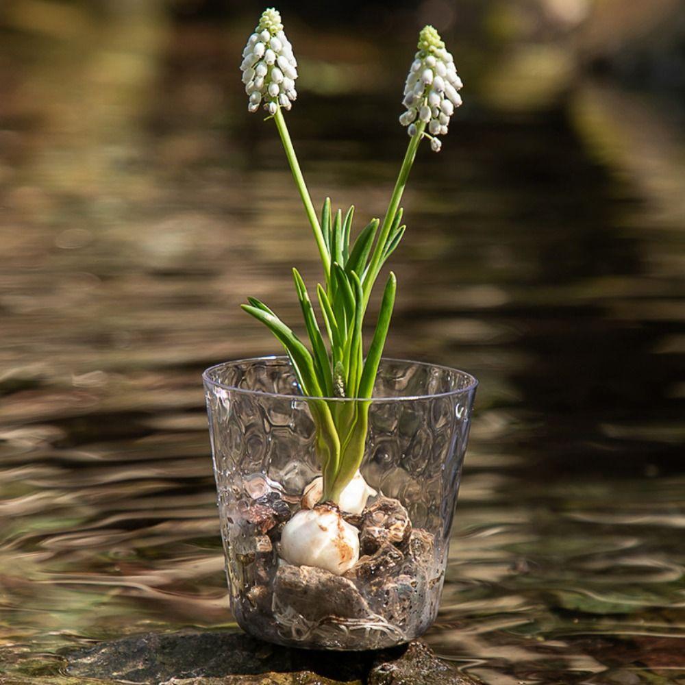 2pcs Thicken Self Sucking Water Splash Pot Transparent Seedling Tray Gardening Flower Pot Office білий
2pcs Thicken Self Sucking Water Splash Pot Transparent Seedling Tray Gardening Flower Pot Office білий