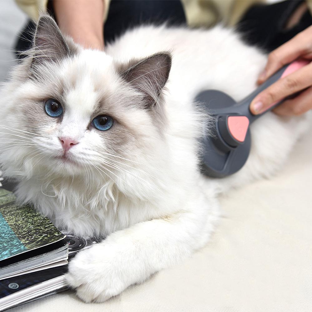 Cat Dog Comb Dog Hair Remover Brush Pet Grooming Slicker Needle Comb Hair Removes Tangled Self Cleaning Cat Supplies
Cat Dog Comb Dog Hair Remover Brush Pet Grooming Slicker Needle Comb Hair Removes Tangled Self Cleaning Cat Supplies