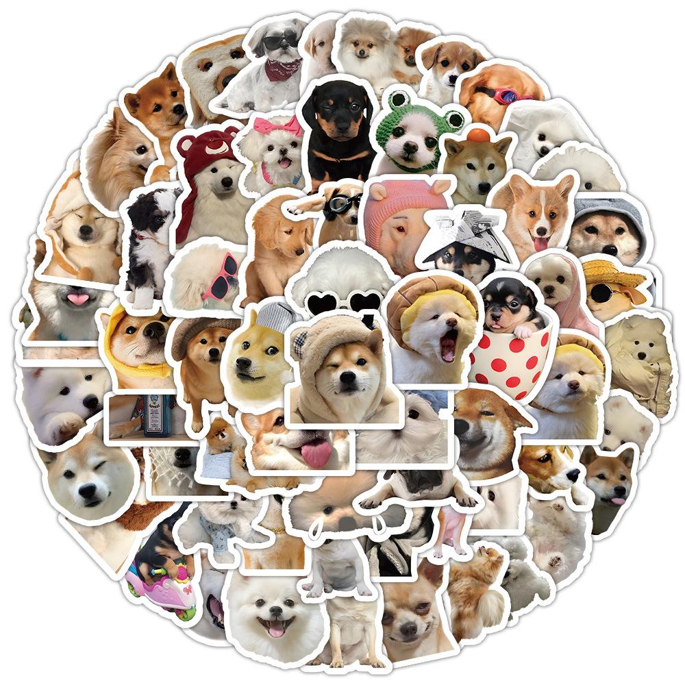 100pcs Cartoon Cat Dog Sticker Pack, Cute Pet Animal Journal Material, Kids Stationery DIY Decor Decals, Waterproof Stickers
100pcs Cartoon Cat Dog Sticker Pack, Cute Pet Animal Journal Material, Kids Stationery DIY Decor Decals, Waterproof Stickers