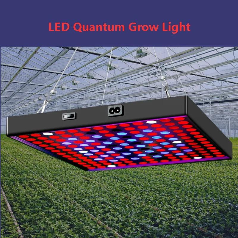 Hot Selling LED Quantum Grow Light Lighting 85-265V Power Plant Grow Light Full Spectrum Indoor Hydroponic Grow Light
Hot Selling LED Quantum Grow Light Lighting 85-265V Power Plant Grow Light Full Spectrum Indoor Hydroponic Grow Light