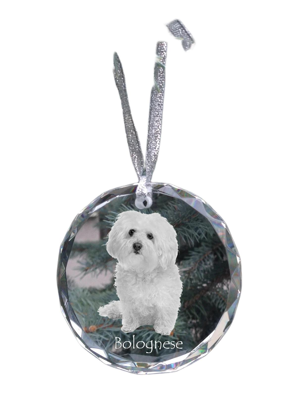 Bichon Bolognese, Bolo, Botoli, Bottolo - crystal bauble with a photo, dog photo in crystal, personalized Christmas tree ornament by Art-Dog brand прозорий
Bichon Bolognese, Bolo, Botoli, Bottolo - crystal bauble with a photo, dog photo in crystal, personalized Christmas tree ornament by Art-Dog brand прозорий