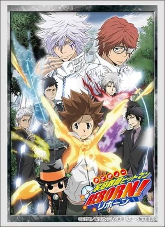 Bushiroad Sleeve Collection High Grade Katekyo Hitman Vol.4525 REBORN! Future Arc
Bushiroad Sleeve Collection High Grade Katekyo Hitman Vol.4525 REBORN! Future Arc