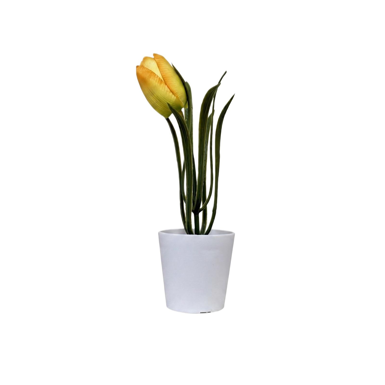 Artificial Floral And Desktop Decor One Size жовтий
Artificial Floral And Desktop Decor One Size жовтий