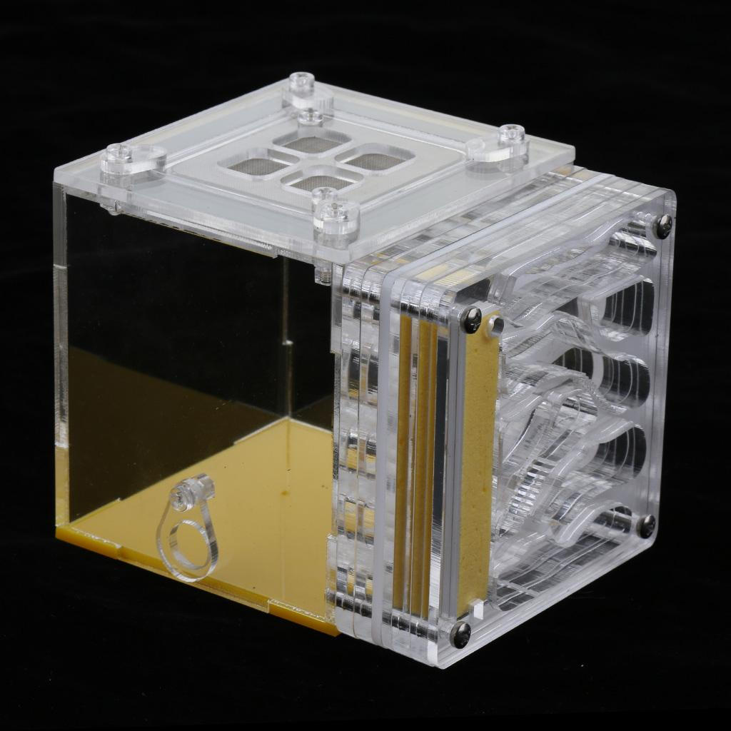Farm Housing Nest Cage Display Box Educational Kit
Farm Housing Nest Cage Display Box Educational Kit