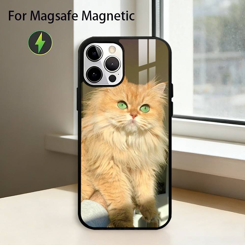 Lovely Funny Cat Phone Case For iPhone17,16,15,14,13,12,11 Plus,Pro Magnetic For Magsafe Wireless Charging iPhone17Promax
Lovely Funny Cat Phone Case For iPhone17,16,15,14,13,12,11 Plus,Pro Magnetic For Magsafe Wireless Charging iPhone17Promax