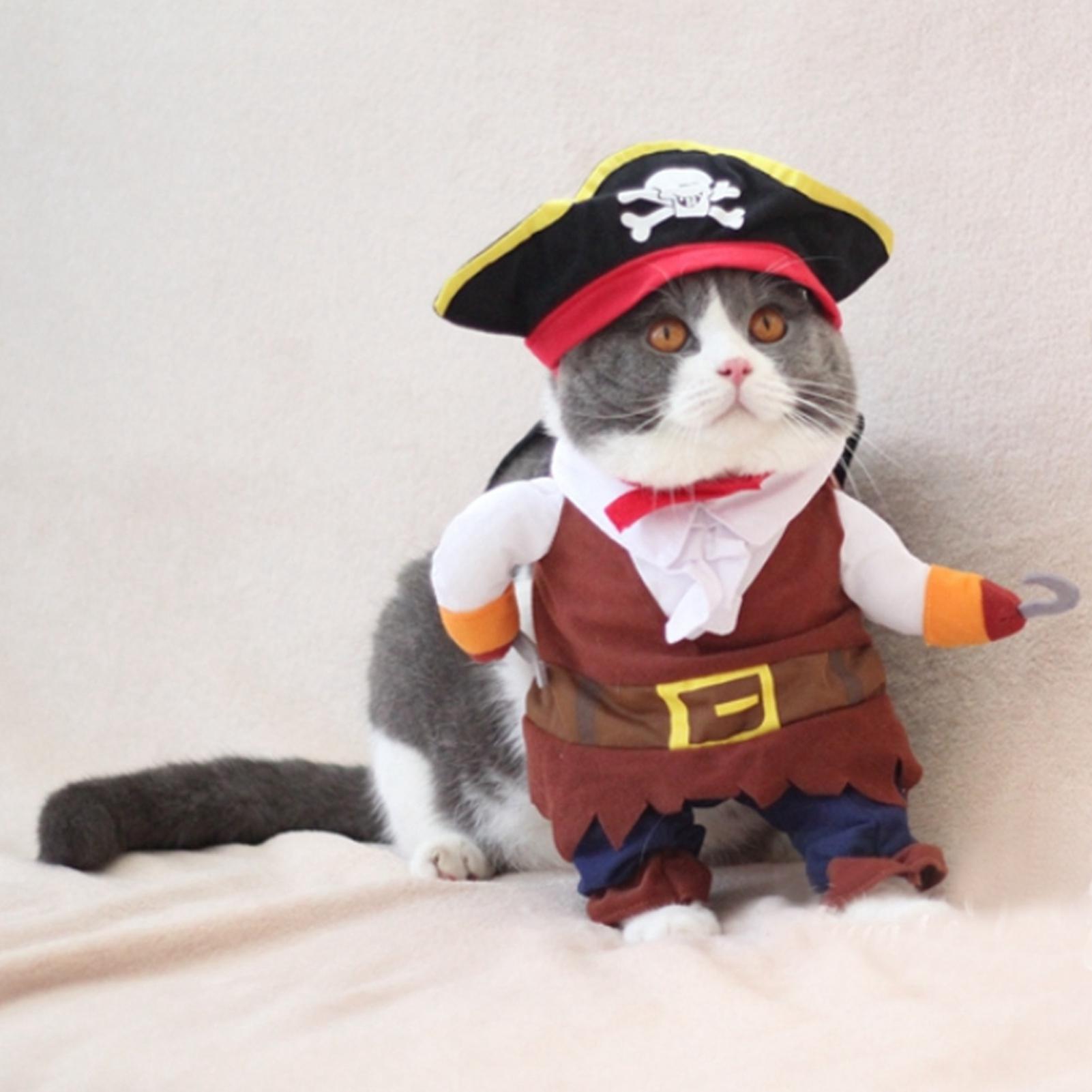 Polyester Cute Durable Pet Halloween Clothes Pirate Funny Costume Dress Up for Cats Dogs(S) S
Polyester Cute Durable Pet Halloween Clothes Pirate Funny Costume Dress Up for Cats Dogs(S) S