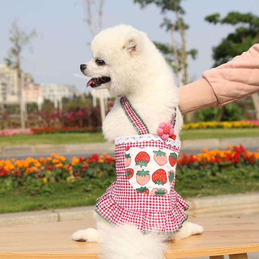 Soft Summer Dog Dress Cotton Pet Dress Skirt Yorkshire Dog Suspender Dress Small Medium Dog S червоний
Soft Summer Dog Dress Cotton Pet Dress Skirt Yorkshire Dog Suspender Dress Small Medium Dog S червоний