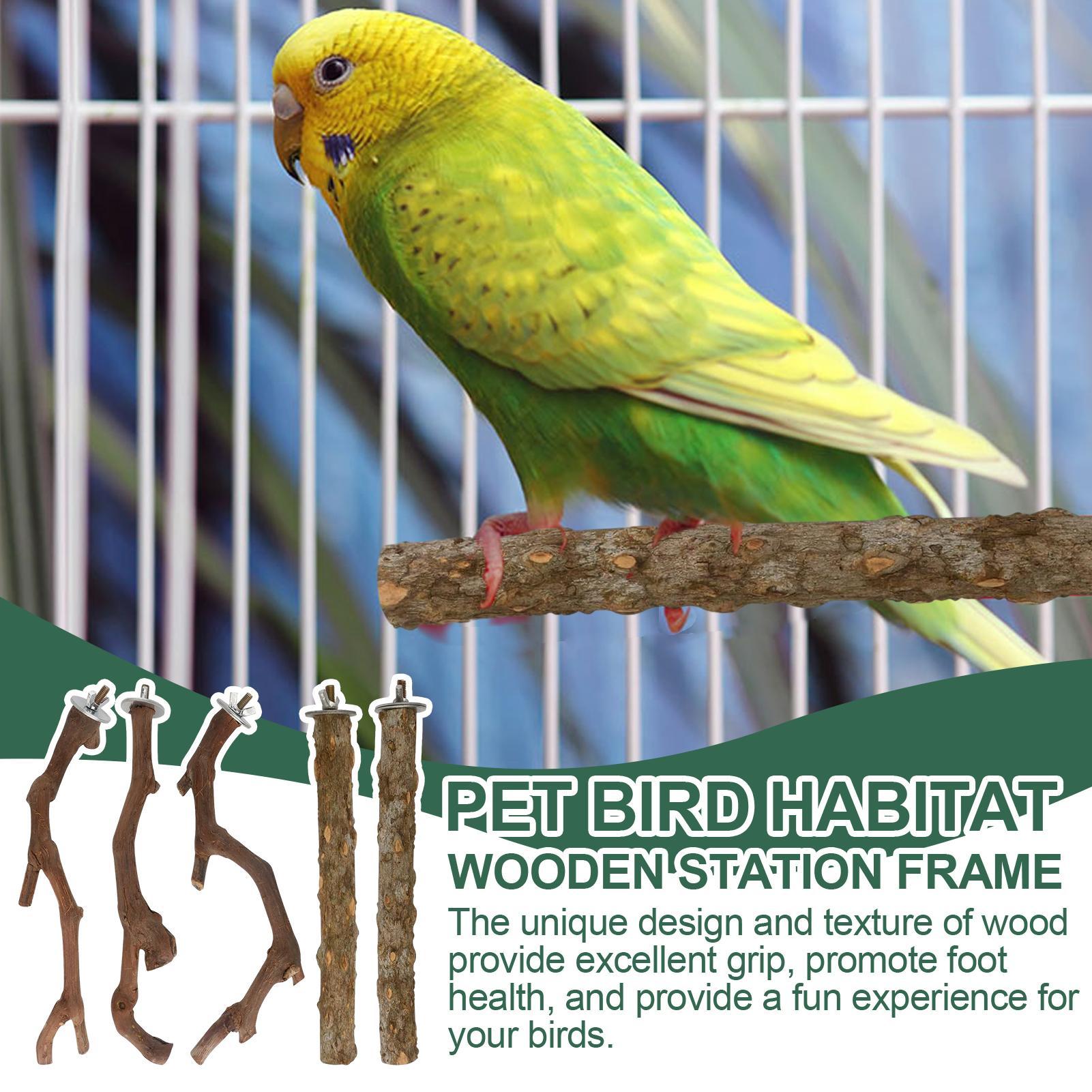 Bird Perches 5-Pieces Interactive Wood Play Toys Standing Sticks For Cockatiels Budgies Cotorras Periquitos Parrots Parakeets CN
Bird Perches 5-Pieces Interactive Wood Play Toys Standing Sticks For Cockatiels Budgies Cotorras Periquitos Parrots Parakeets CN