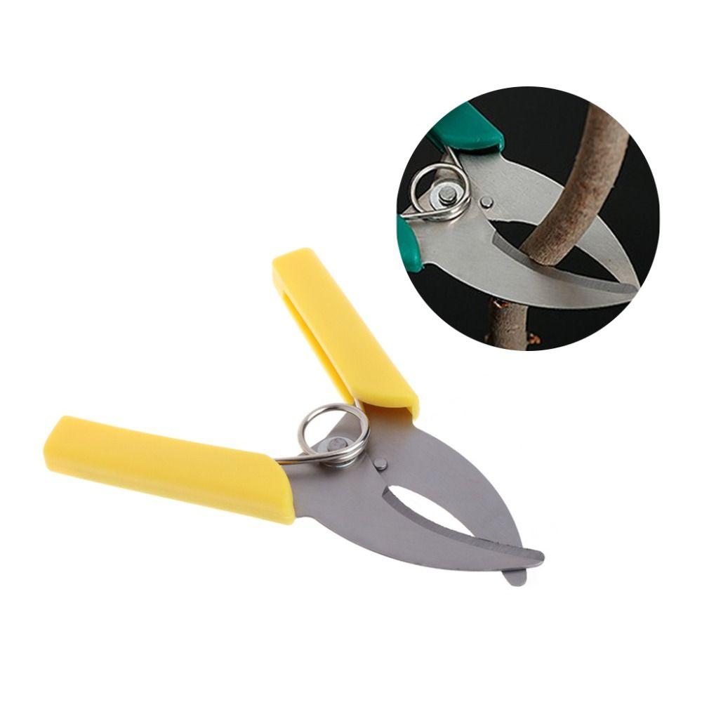 Single Blade Ring Peeling Scissors Thickened Peeling Tool Garden Shear Ring Cutting Knife Grape зелений
Single Blade Ring Peeling Scissors Thickened Peeling Tool Garden Shear Ring Cutting Knife Grape зелений