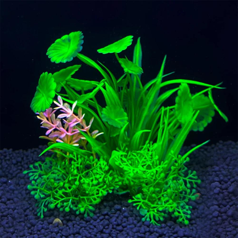 Artificial Water Weeds Simulation Aquarium Grass Plants Fish Tank Ornament Decor Decoration Accessories
Artificial Water Weeds Simulation Aquarium Grass Plants Fish Tank Ornament Decor Decoration Accessories