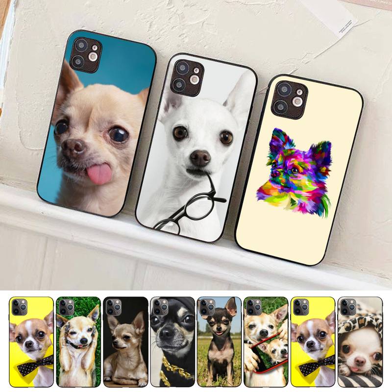Чехол для телефона с милым питомцем чихуахуа для iPhone 13 8 7 6S Plus X 5S SE 2020 XR 11 12 mini pro XS MAX
Чехол для телефона с милым питомцем чихуахуа для iPhone 13 8 7 6S Plus X 5S SE 2020 XR 11 12 mini pro XS MAX