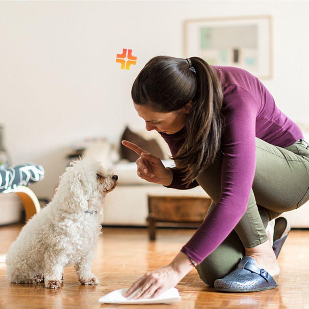 Puppy Dog Underpads Large Dog Supplies Urine Nappy Mat Pet Diaper Dog Training Urine Pad
Puppy Dog Underpads Large Dog Supplies Urine Nappy Mat Pet Diaper Dog Training Urine Pad