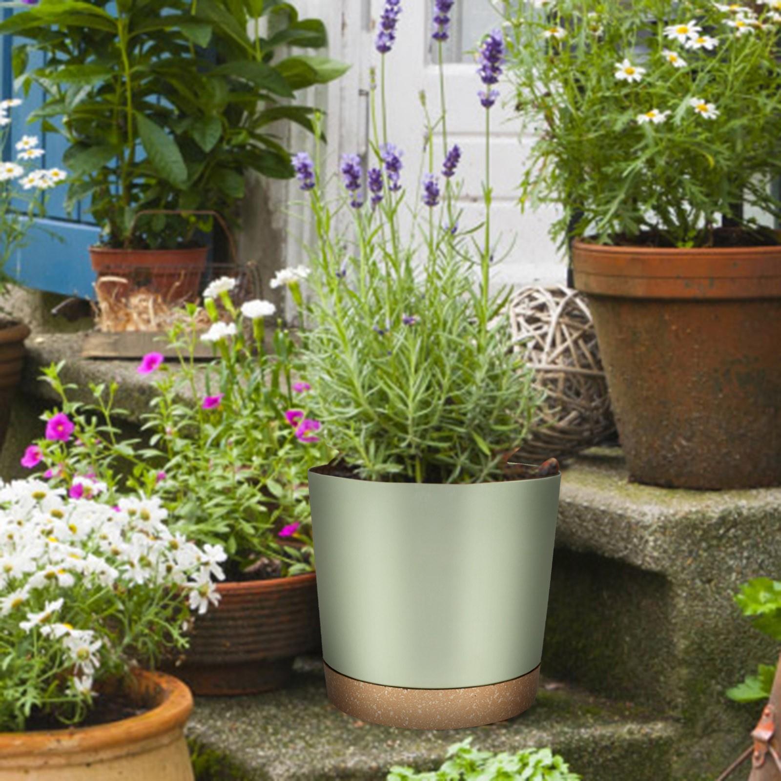 Прямой круглый цветочный горшок из смолы, балконный горшок для овощей и цветов, горшок для комнатных растений с поддоном One Size
Прямой круглый цветочный горшок из смолы, балконный горшок для овощей и цветов, горшок для комнатных растений с поддоном One Size