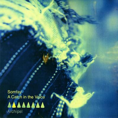 CD JESSE SOMFAY - A Catch In The Voice ARCHIPELCD006 Archipel 2009 Canada Dance & Electronica Used
CD JESSE SOMFAY - A Catch In The Voice ARCHIPELCD006 Archipel 2009 Canada Dance & Electronica Used