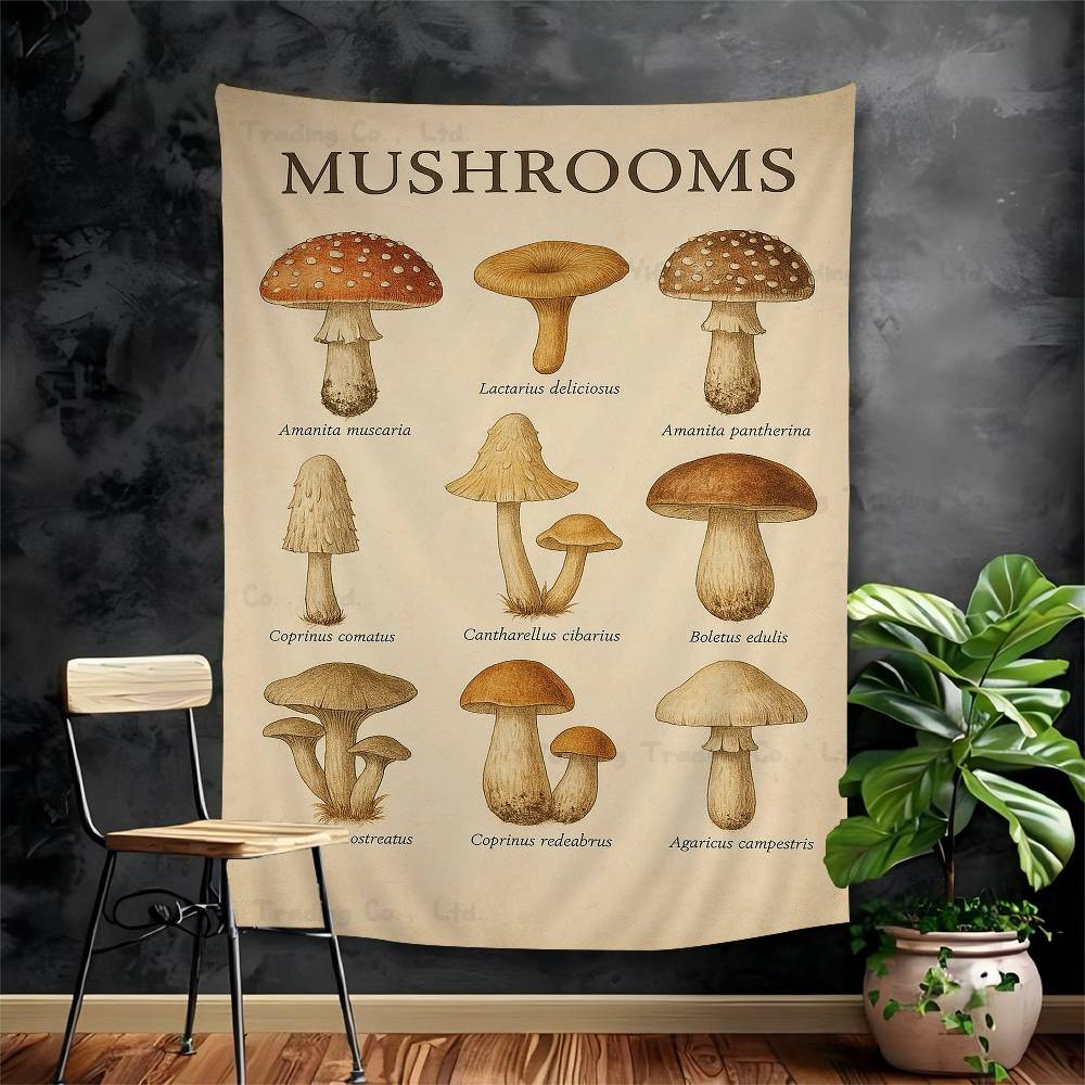 Vintage Classic Wall Art Plants Mushroom Hanging Bohemian Tapestry Hanging Tarot Hippie Wall Rugs Dorm Japanese Tapestry 74x94cm(29x37in)
Vintage Classic Wall Art Plants Mushroom Hanging Bohemian Tapestry Hanging Tarot Hippie Wall Rugs Dorm Japanese Tapestry 74x94cm(29x37in)