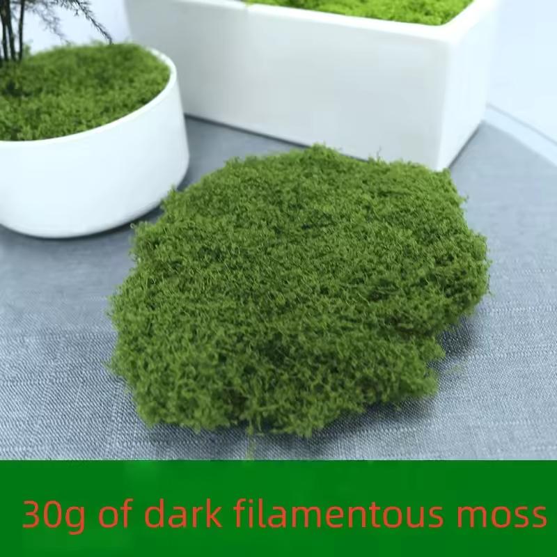 30/50/100g Green Fake Moss DIY Crafts Grass Artificial Moss Preserved Moss Green Plant Home Garden Decor Landscape Floral DIY
30/50/100g Green Fake Moss DIY Crafts Grass Artificial Moss Preserved Moss Green Plant Home Garden Decor Landscape Floral DIY