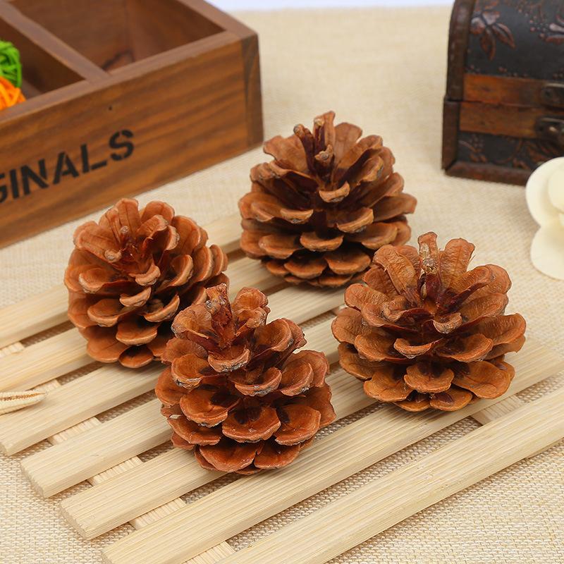 Тщательно отобранные шишки Pinus tabulaeformis, фотореквизит для детского сада, материалы для рукоделия, рождественские украшения из сосновых шишек, цена 1 кг. 4.5CM
Тщательно отобранные шишки Pinus tabulaeformis, фотореквизит для детского сада, материалы для рукоделия, рождественские украшения из сосновых шишек, цена 1 кг. 4.5CM