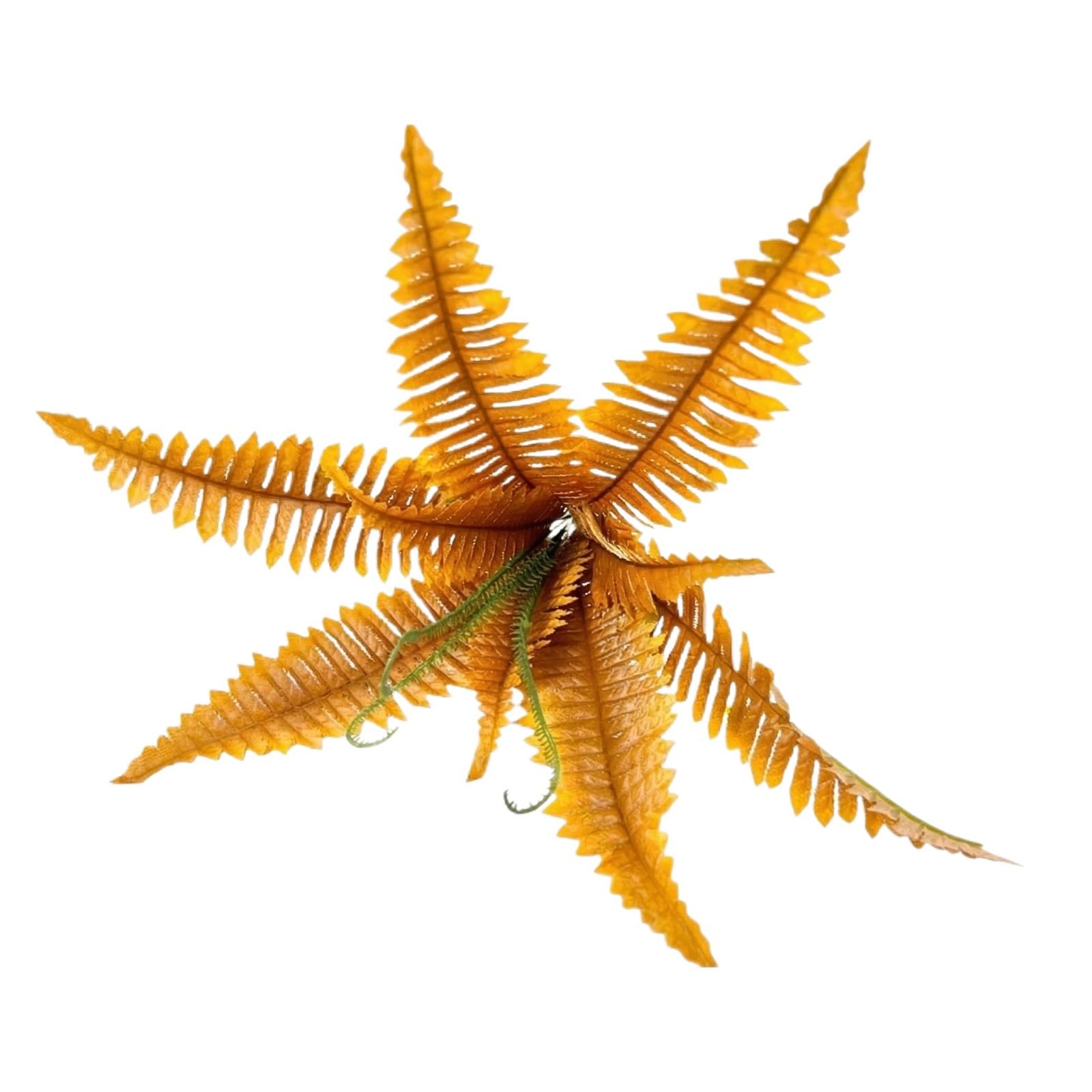 Artificial Plants, Simulated Large Persian Leaves, Fake , Indoor Plant Wall Decoration Accessories, Aquatic Plant Bundles One Size жовтий
Artificial Plants, Simulated Large Persian Leaves, Fake , Indoor Plant Wall Decoration Accessories, Aquatic Plant Bundles One Size жовтий