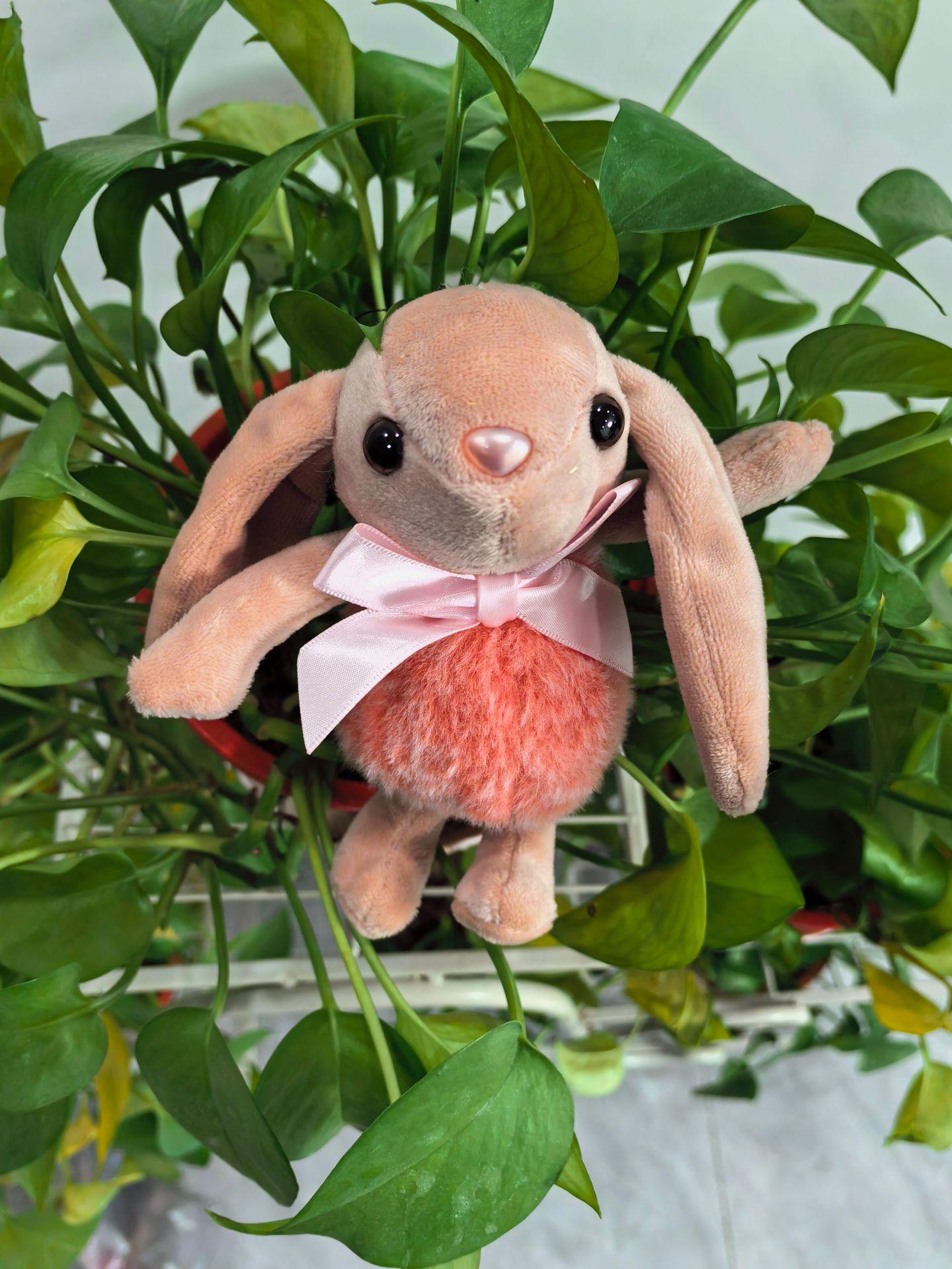 Плюшевый брелок Кролик с большими ушами : Милый подарок на День святого Валентина или день рождения 12 cm розовый
Плюшевый брелок Кролик с большими ушами : Милый подарок на День святого Валентина или день рождения 12 cm розовый