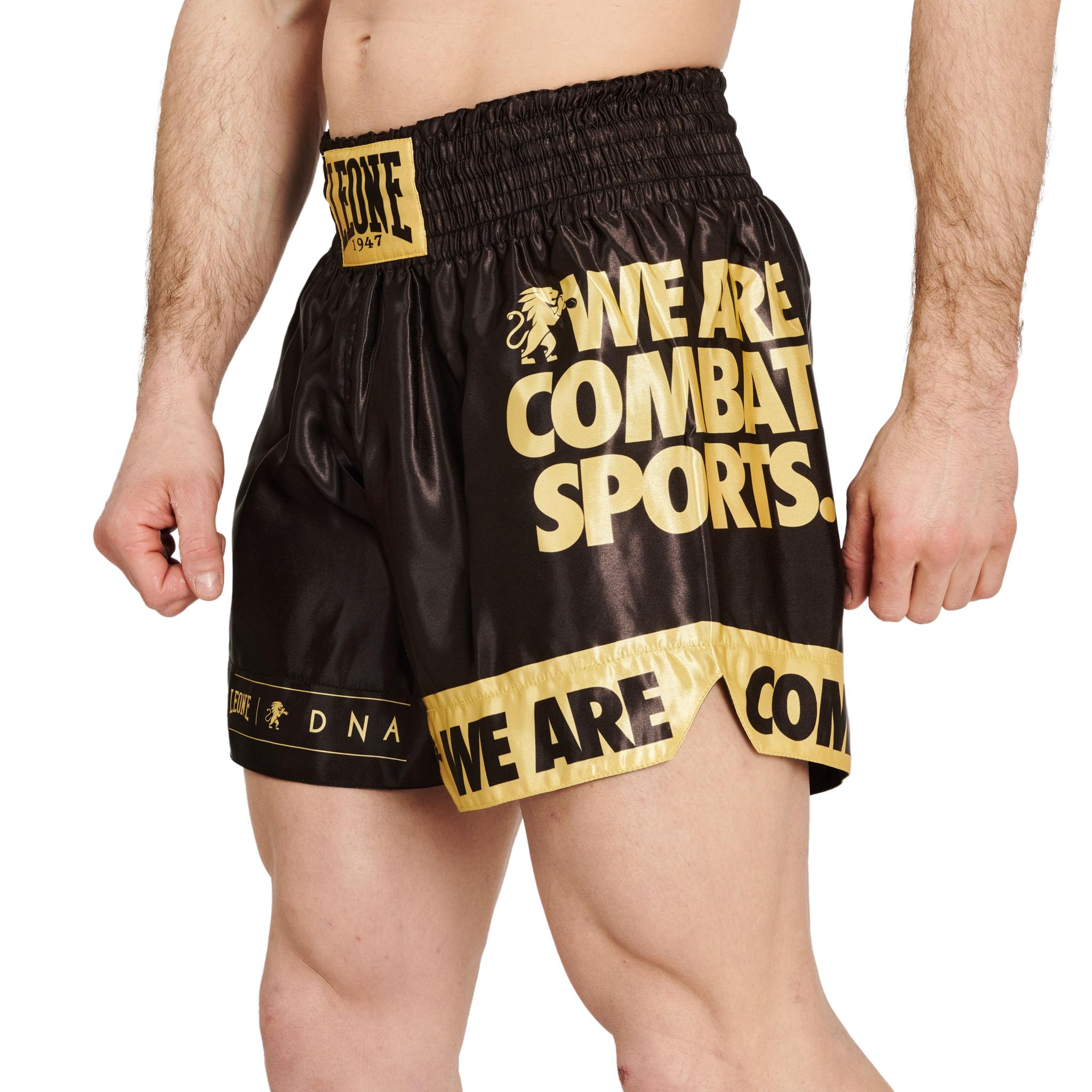 Шорты Leone 1947 DNA для муай-тай и кикбоксинга, черно-золотые
Шорты Leone 1947 DNA для муай-тай и кикбоксинга, черно-золотые
