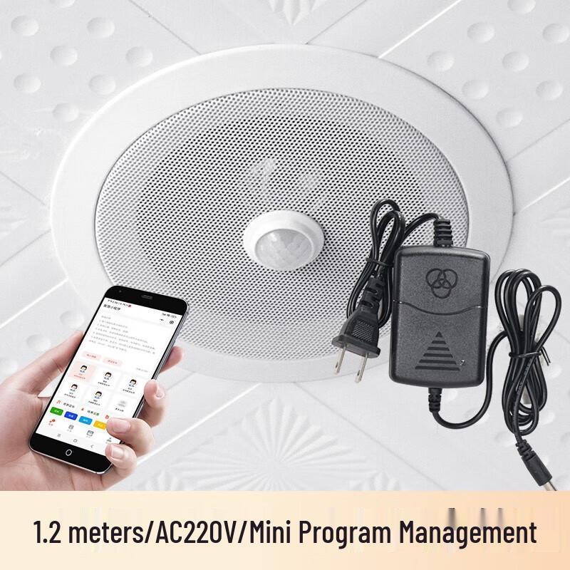 Kankeirr Smart Induction Ceiling Speaker CN plug (adapter included)
Kankeirr Smart Induction Ceiling Speaker CN plug (adapter included)
