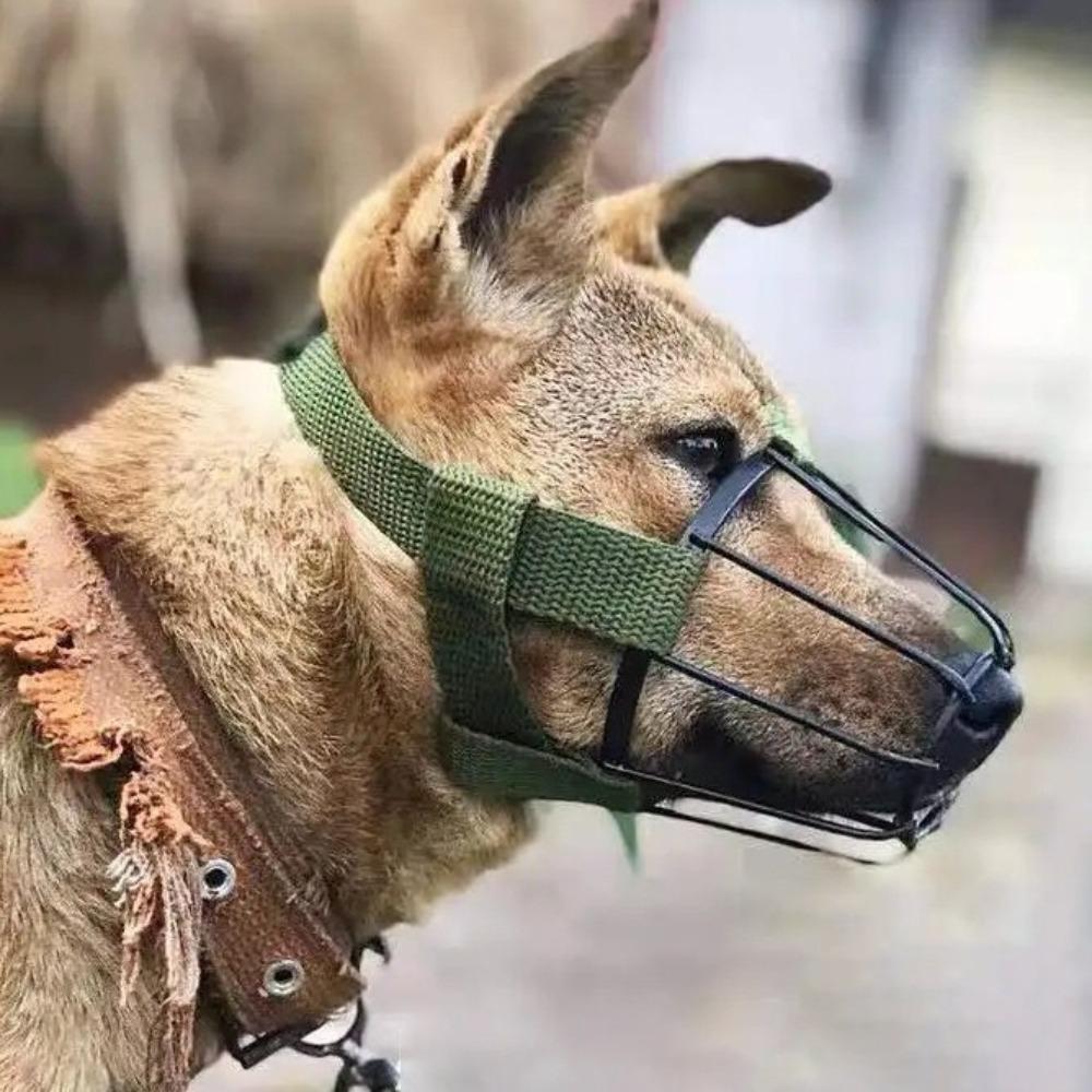 Heat-Proof Metal Dog Mask Adjustable Golden Retriever Mask Dog Anti-Bite Metal Muzzle Pitbull S
Heat-Proof Metal Dog Mask Adjustable Golden Retriever Mask Dog Anti-Bite Metal Muzzle Pitbull S