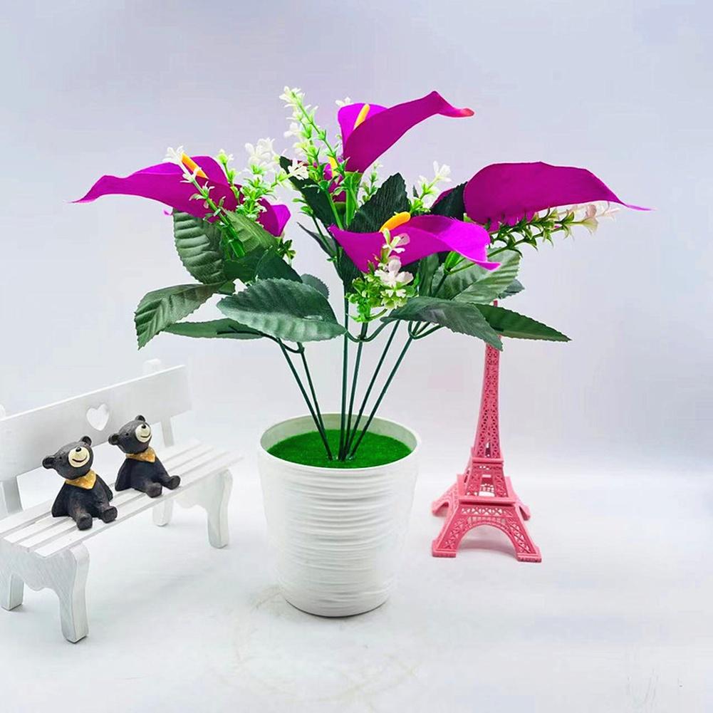 Artificial Calla Lily in Pot for Living Room Bedroom Dining Table Wedding Decor Elegant Silk Floral Arrangement Lifelike Design фіолетовий
Artificial Calla Lily in Pot for Living Room Bedroom Dining Table Wedding Decor Elegant Silk Floral Arrangement Lifelike Design фіолетовий