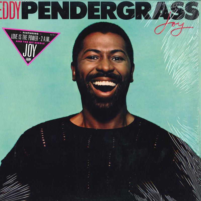 LP Record TEDDY PENDERGRASS - Joy 607751 ELEKTRA 1988 US Soul/Funk Used
LP Record TEDDY PENDERGRASS - Joy 607751 ELEKTRA 1988 US Soul/Funk Used