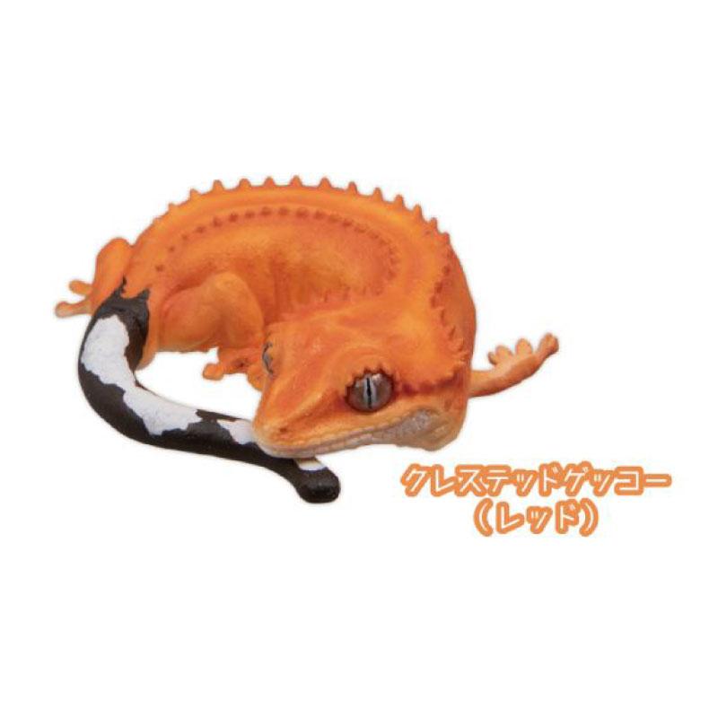 Genuine Gacha Scale Model The Guardian of Sleep Sleeping Reptile Lizards Decorative Item Action Figure Toys
Genuine Gacha Scale Model The Guardian of Sleep Sleeping Reptile Lizards Decorative Item Action Figure Toys