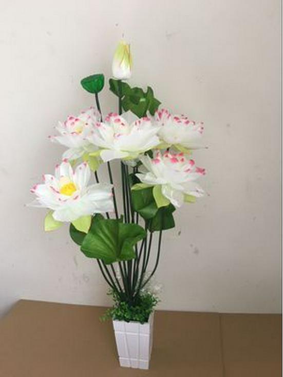Large Silk Lotus Water Lily Bonsai - Free Shipping
Large Silk Lotus Water Lily Bonsai - Free Shipping